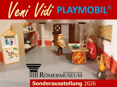 VENI VIDI PLAYMOBIL®